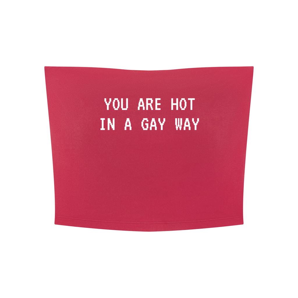 You Are Hot In A Gay Way Yoga Cropped Tube Top
