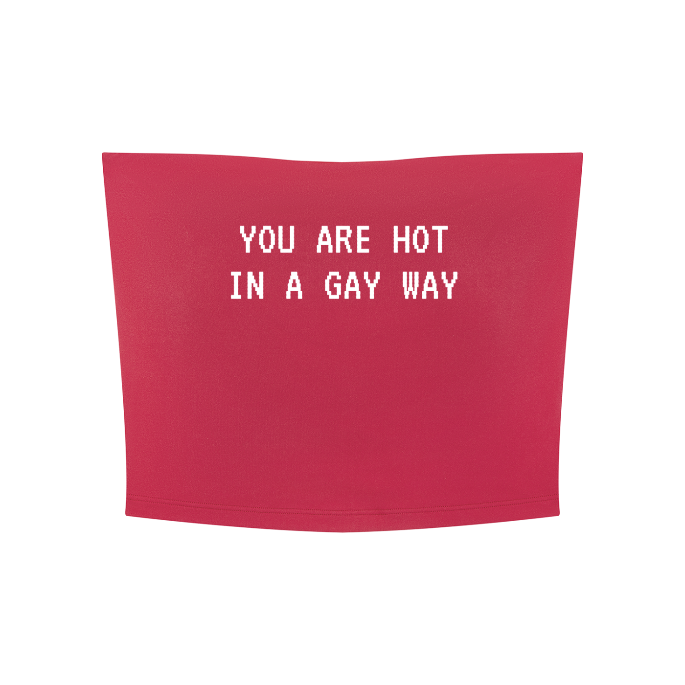 You Are Hot In A Gay Way Yoga Cropped Tube Top